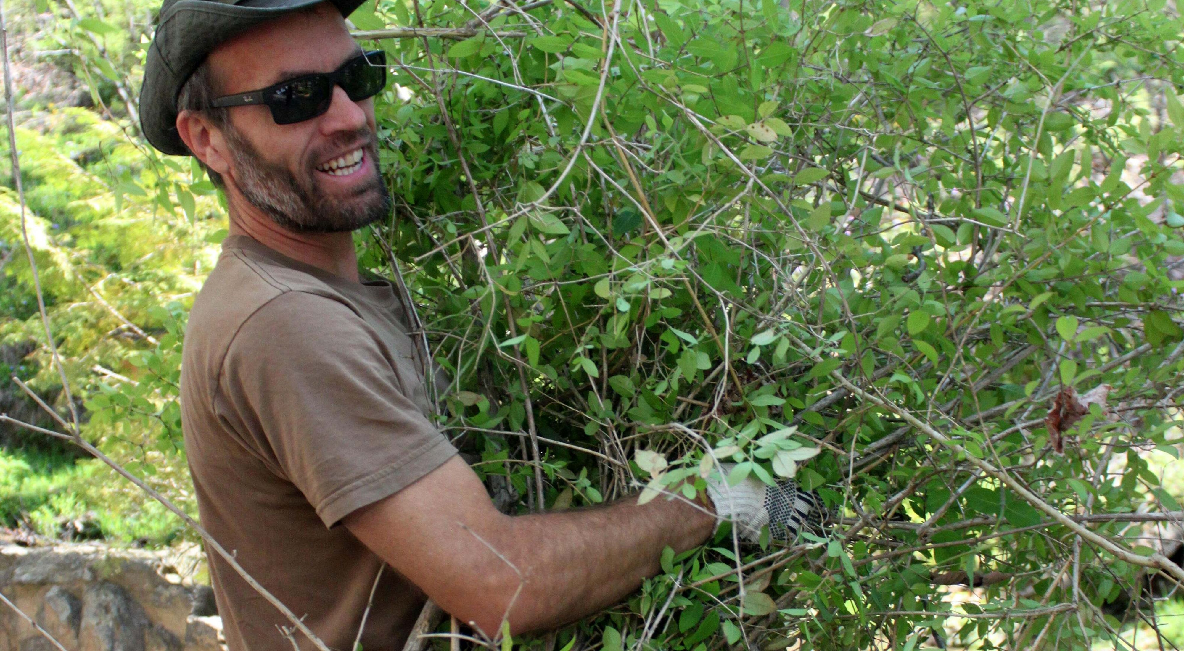 A smiling man carries an armful of cut branches and brush during a volunteer preserve workday.