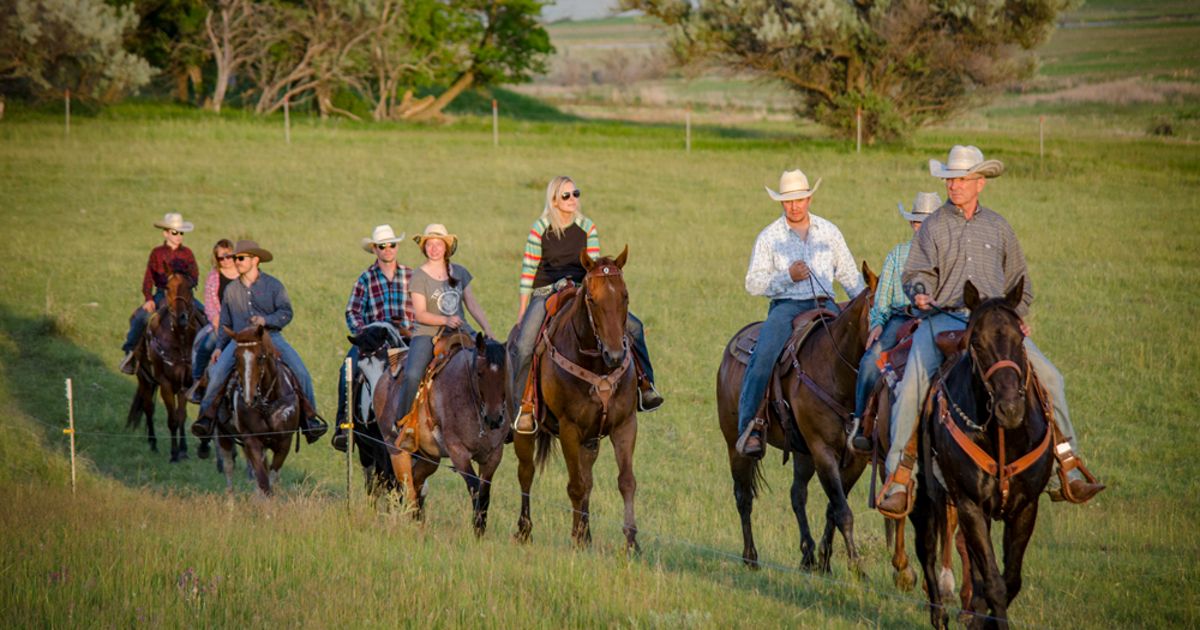 Regenerative Cattle Ranching | The Nature Conservancy in ND