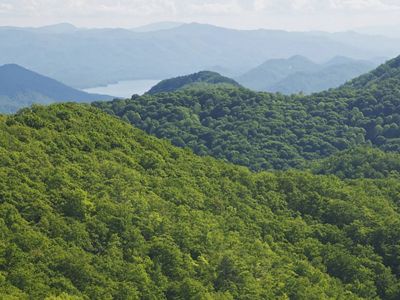 Green trees blanket a vast forested mountain valley.