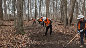 A small crew with orange work vests prepare a trail at Douglas Woods.