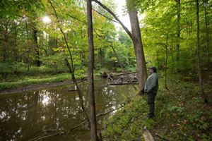 TNC's Nathan Herbert stands next to Fish Creek in Douglas Woods.