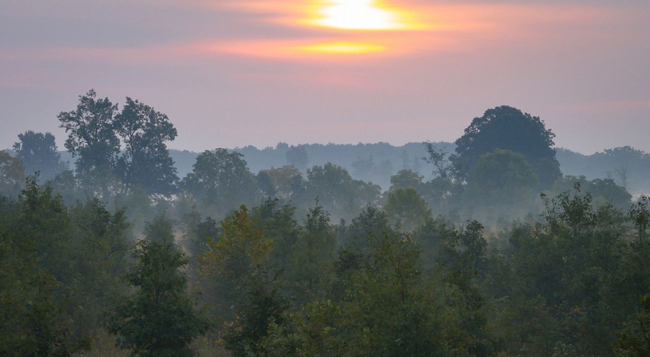 Sunrise over Douglas Woods Nature Preserve in northeastern Indiana.