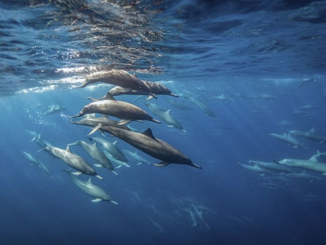 Spinners in the surface