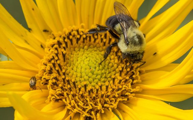 Indiana Nature Notes for October | The Nature Conservancy