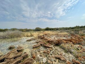A mineral pool with interesting rock formations. 