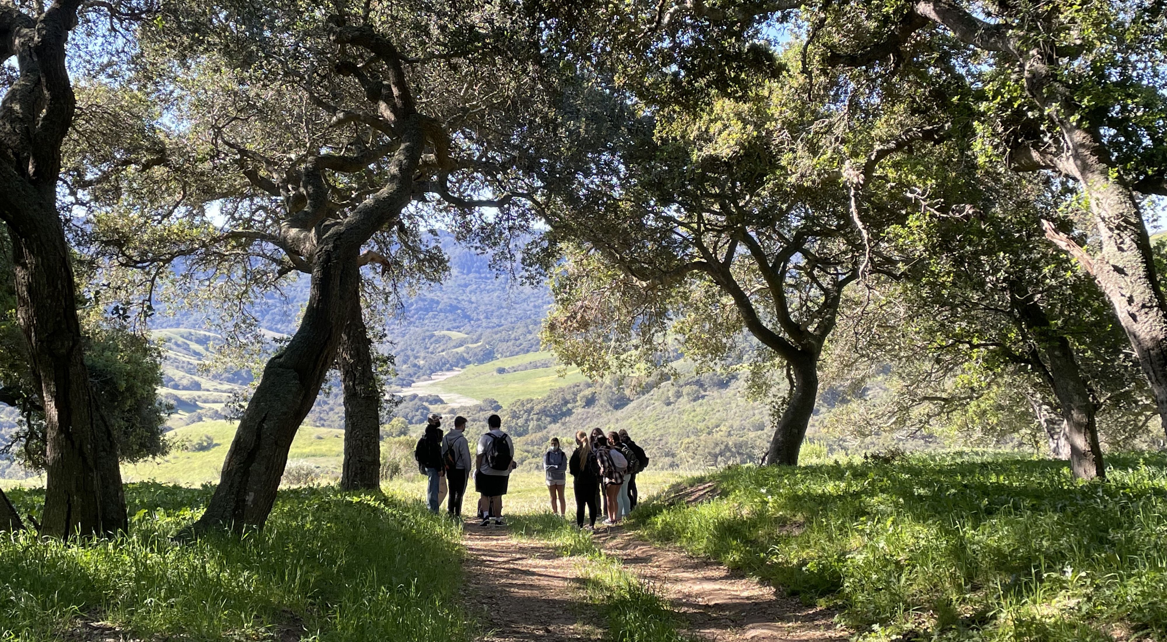 Students walk on a trail under oak trees on the Jack and Laura Dangermond Preserve. 