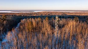 Aerial image of the Bois Forte forest in the winter with a tower to the right.