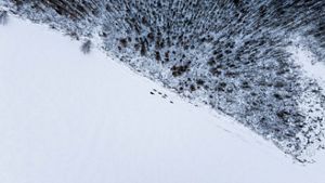 An aerial photo features people on the move along a forest edge covered in snow.