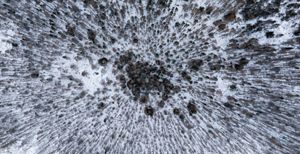 An aerial image features a forest during winter.