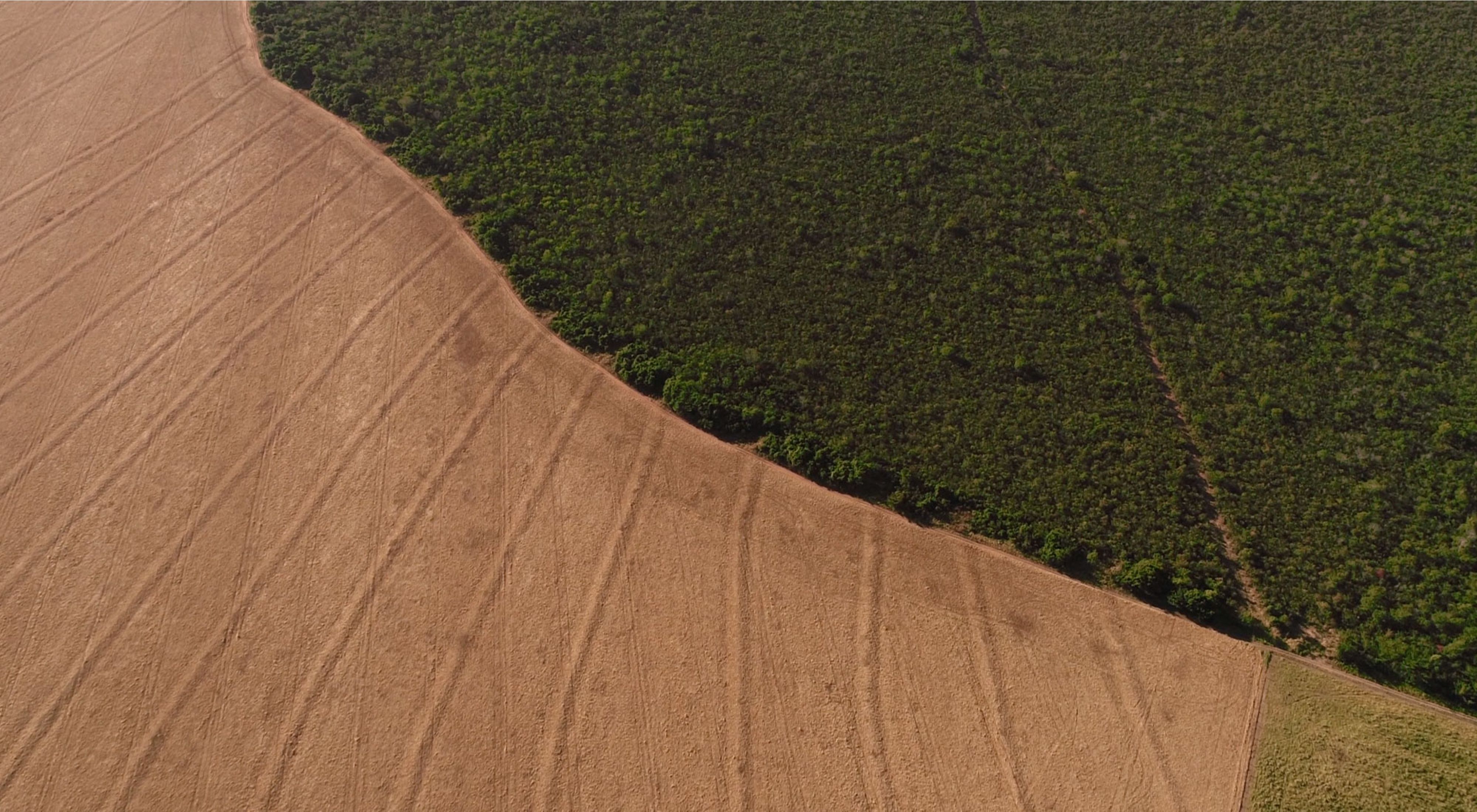 Aerial view of soy fields bordering forest in Itaituba, Pará, Brazil.