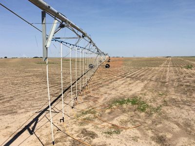 Mobile drip lines apply water directly to the soil, minimizing overall water use.