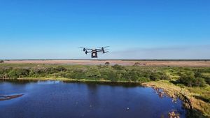 Dron sobrevolando un lago y dispersando semillas de árboles nativos.