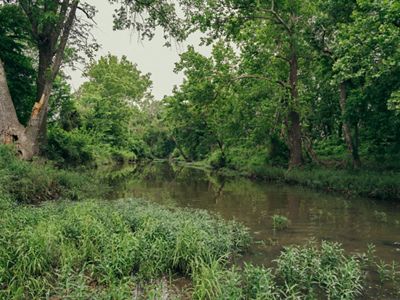 Little Horse Creek