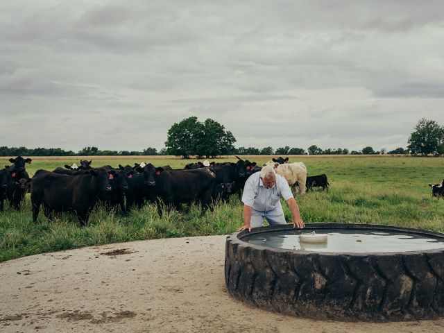 Grant Victor checks the water level on his ranch in Akton, Oklahoma. Cattle are in the background.