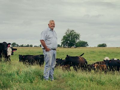 A man stands in a field surrounded by cattle.