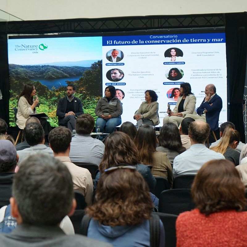 Conversatorio evento RCV 20 años