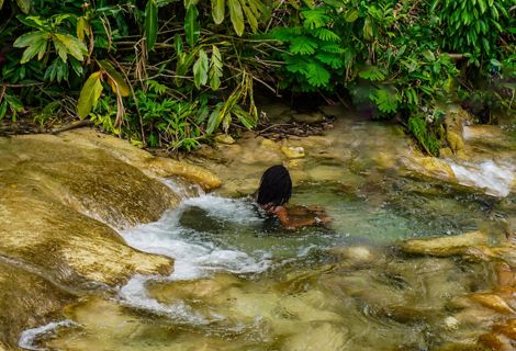 A person in a swimming hole surrounded by green foliage.