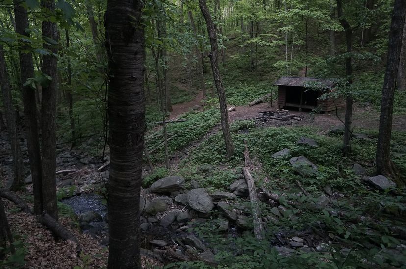 A roofed, three sided shelter is nestled in the woods above a stone lined creek. The area is heavily shaded by the tall trees.
