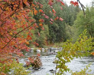 The Kerry Landreth Preserve at McCloud River: A Legacy for Nature and People