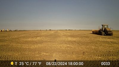 Before Flooding: Roosting field site of a 2024-25 BirdReturns-Sandhill Crane Habitat program participant.