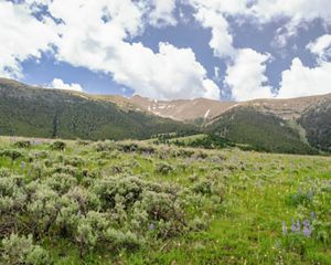 TNC Idaho prioritizing climate resilient habitat in the Upper Salmon to restore salmon populations.
