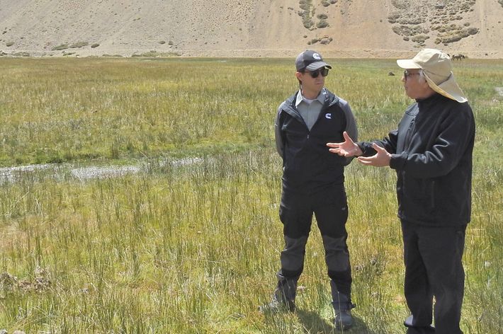 Cummins visita humedales altoandinos