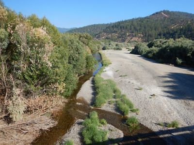 Flows in the Scott River in August provide little water for nature or people.