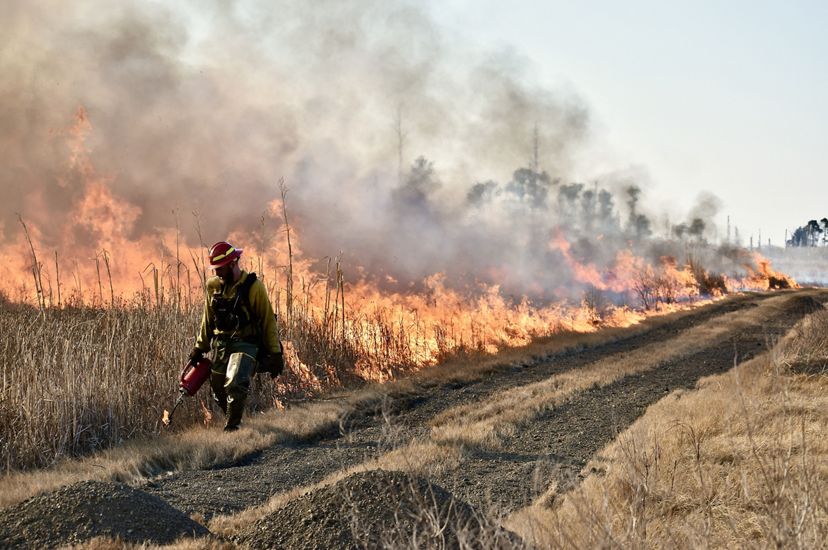 A man in fire gear walks along a dirt road using a drip torch to ignite a controlled burn. A wall of smoke and fire rises behind him.