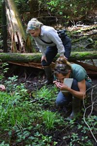 Two people bend over in a forest looking at a green grass like plant growing on a damp forest floor.