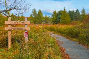 View of trail with wooden sign that says "Cathy's Trail".