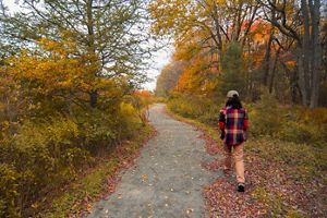 A person walks along a path surrounded by fall foliage.