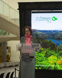 Maisa Rojas, ministra del Medio Ambiente