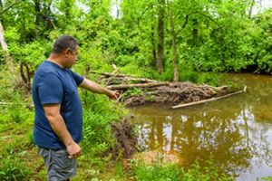 A person stands on a stream bank and points to erosion. 