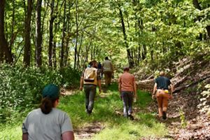 A group of people hiking in a forest.