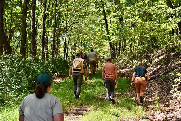 A group of people with their backs to the camera walk along a grassy trail through the forest.