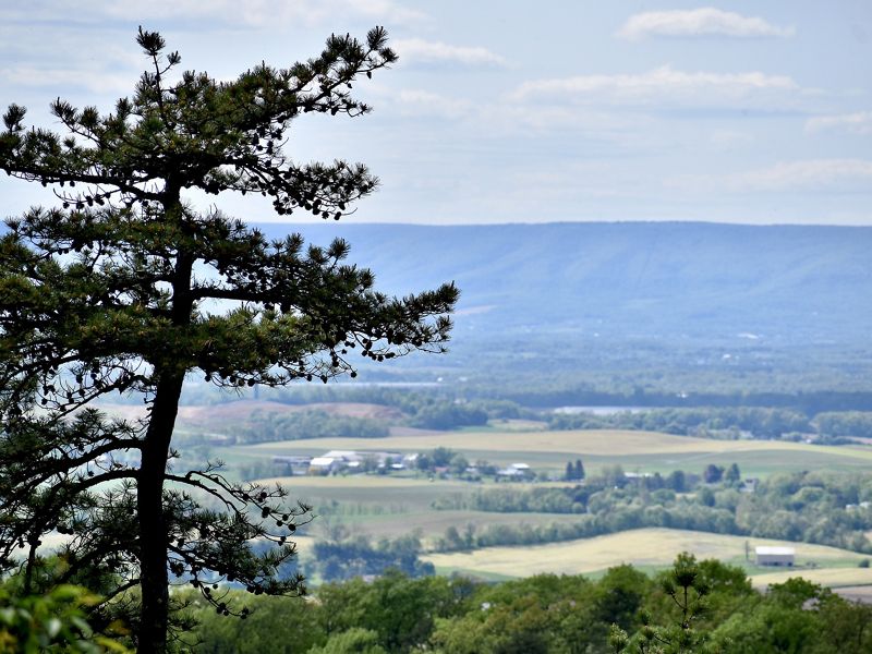 View looking out over a rural valley dotted with farms.