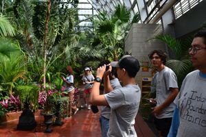 A group of young people exploring a conservatory.