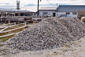 A large pile of oyster shells sits in front of a building.