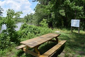 A wooden picnic table sits next to a wide river. The table is shaded by the tall trees that grow along the river bank. A sign in the background reads, Edward H. McCabe Preserve. 