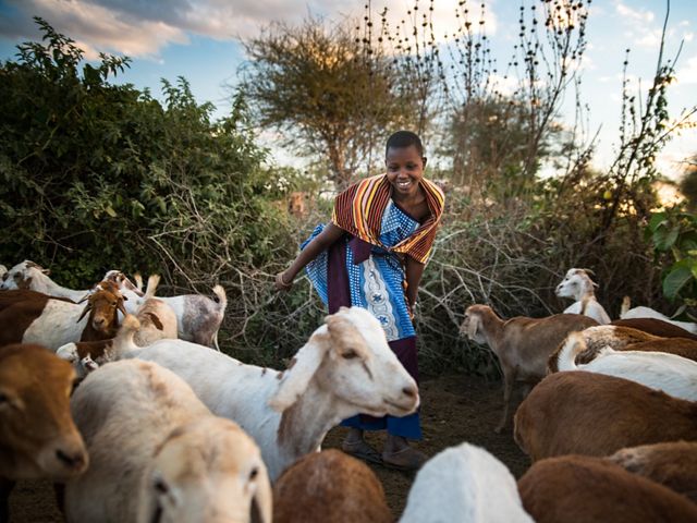 A young girl smiling in an enclosure with goats.