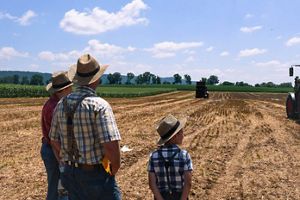 Three farmers stand in a field and look out at tractors in the distance. 