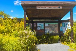 A wooden kiosk featuring large maps site in the forest.