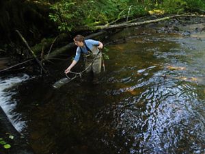 TNC scientist assessing salmon stream