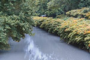 A still river sits in between to areas lush with green shrubs and trees.