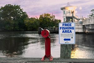 A sign reading "Free fishing area" with an arrow sits in front of a river.