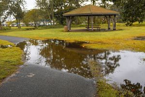 A large puddle sits on a walking path.