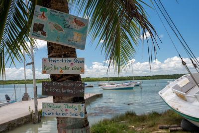 A tree has four signs about protecting the ocean attached to it.