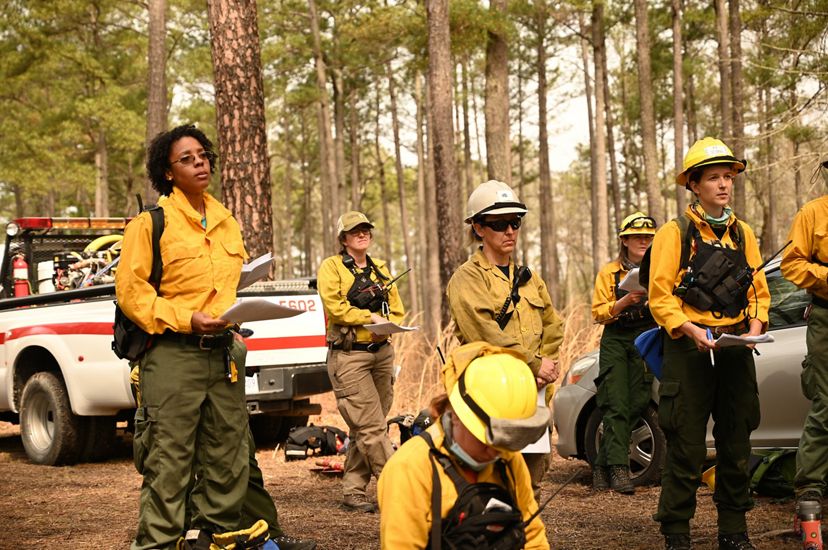 A group of women stand in a clearing of a pine forest during a fire briefing.