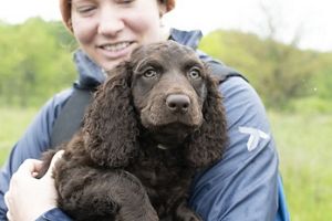 A person holding Penny the puppy.