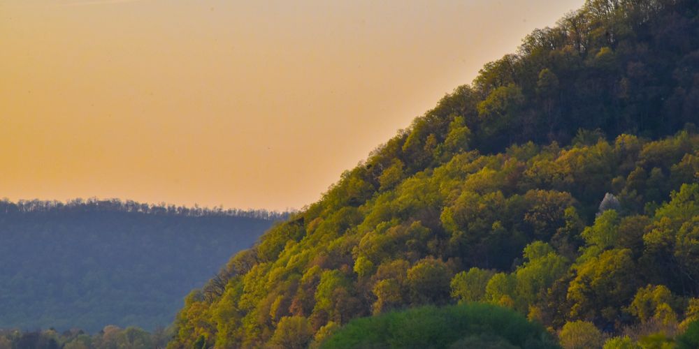 The sun sets behind a small mountain hump containing green tree tops.